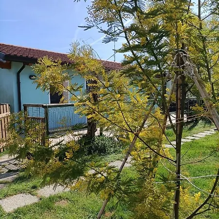 Casa Oasi Apartment Villa Cameroni